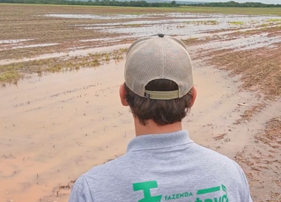 soja debaixo de agua paranatinga foto pedro silvestrecanal rural mato grosso1