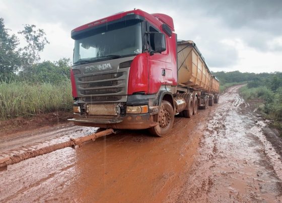 MT-499 paranatinga atoleiros foto Pedro Silvestre Canal Rural Mato Grosso