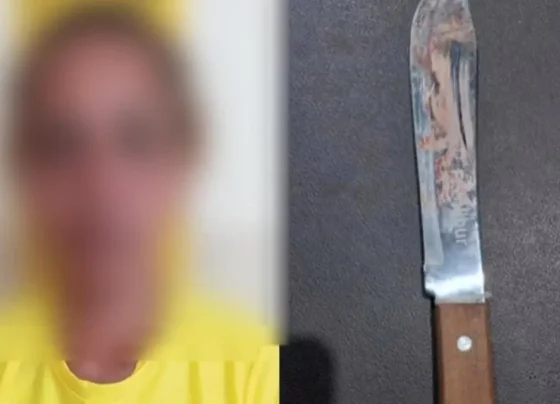 Mulher foi presa em posse da arma utilizada no crime - (Foto: reprodução/PM)