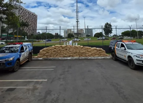 Agrotóxicos apreendidos foram encaminhados à Polícia Civil - (Foto: reprodução/PM)