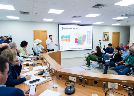 audiência passaporte verde na ALMT foto assessoria Imac