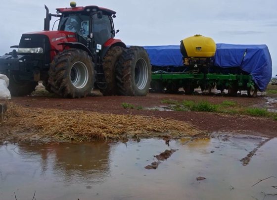 marcelândia soja chuva foto israel baumann canal rural mato grosso1