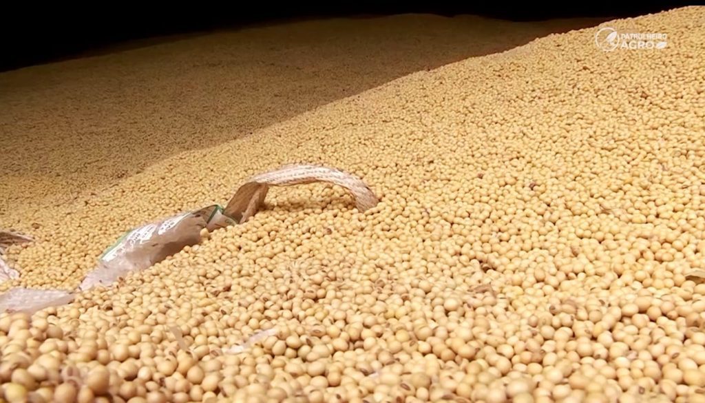 soja grão armazém armazenagem foto pedro silvestre canal rural mato grosso