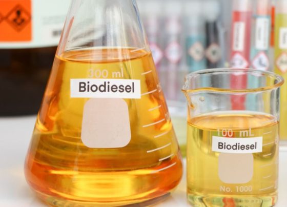 biodiesel foto assessoria Unibio MT reprodução