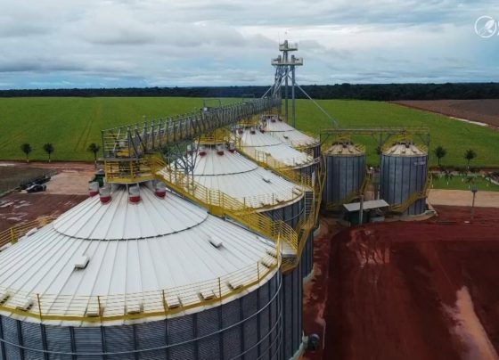 armazenagem armazéns silos foto pedro silvestre canal rural mato grosso