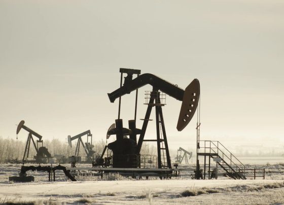 petróleo