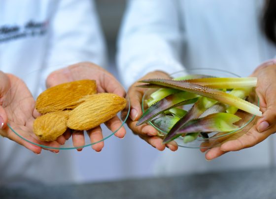 resíduos de manga e abacaxi