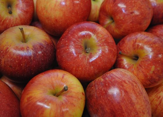 maçã gala