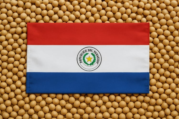 soja Paraguai