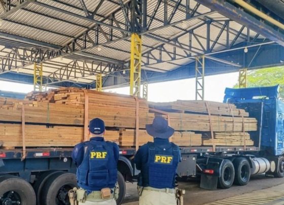 Carga de madeira irregular é apreendida pela PRF na BR-174 em Mato Grosso Foto: Reprodução/PRF-MT