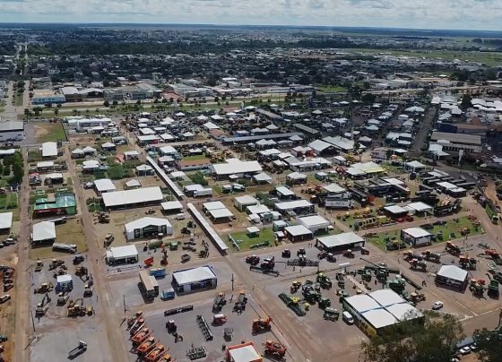 norte show sinop foto canal rural mato grosso