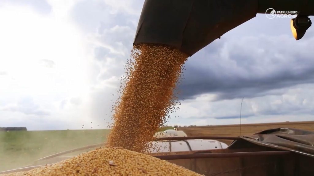 soja grão foto pedro silvestre canal rural mato grosso