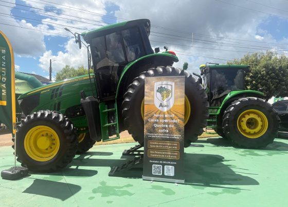 norte show sinop foto pedro silvestre canal rural mato grosso