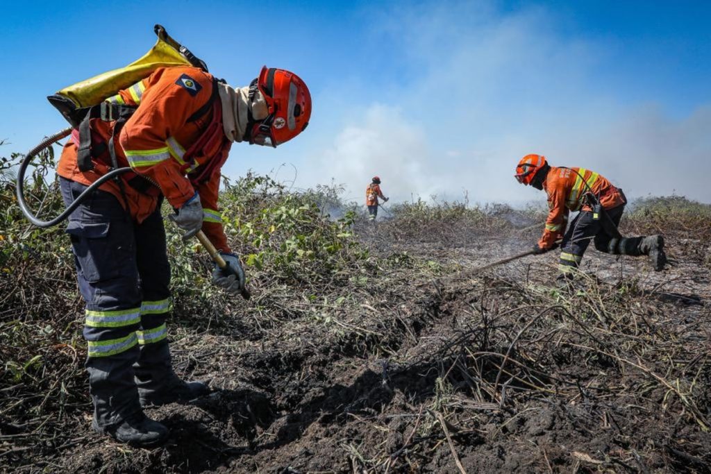queimadas uso de fogo foto secom mt