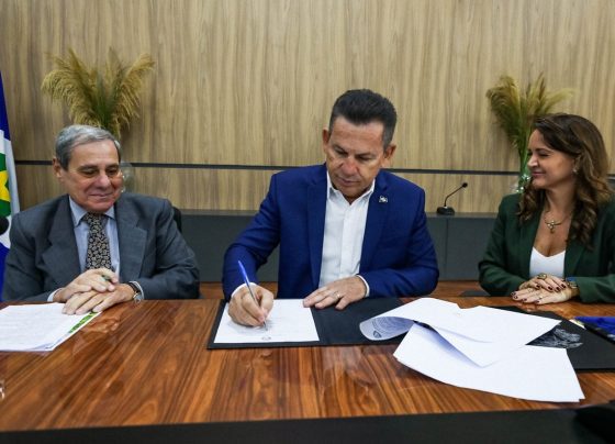 Mato Grosso lança plano para expandir setor florestal e biomassa até 2040 Foto: Christiano Antonucci/Secom-MT