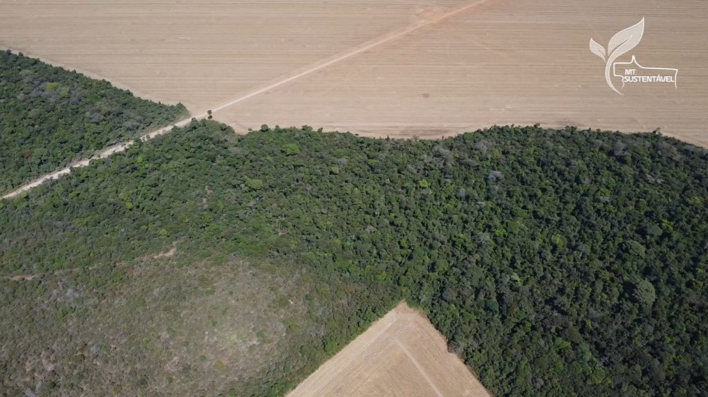 MT Sustentável área consolidada CAR Digital foto Israel Baumann Canal Rural Mato Grosso1