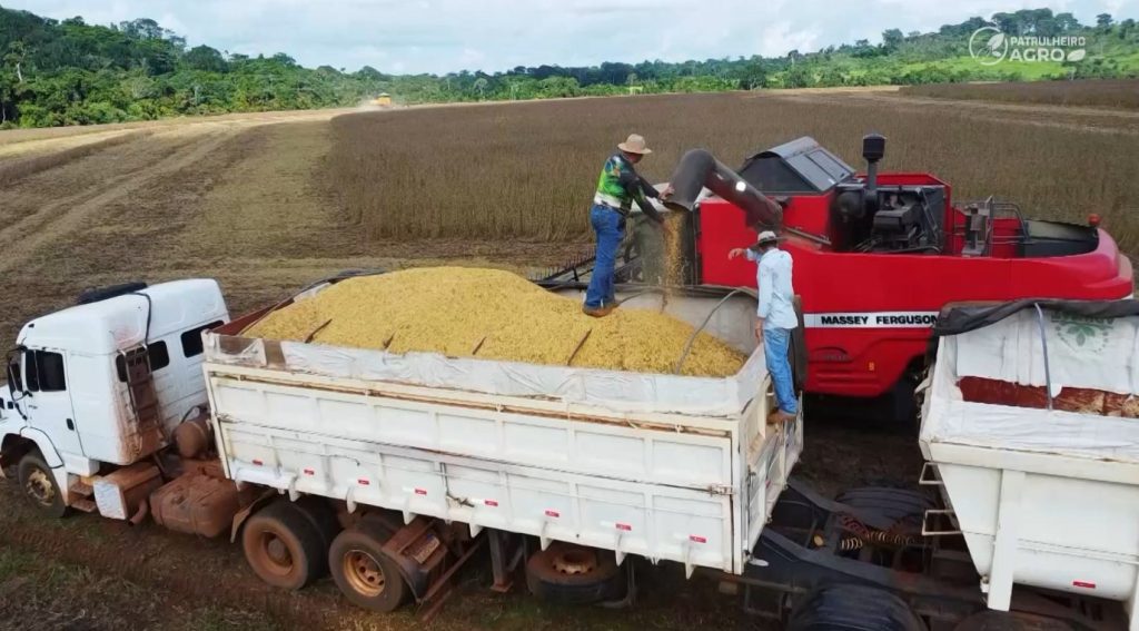 soja grão armazém armazenagem foto pedro silvestre canal rural mato grosso1