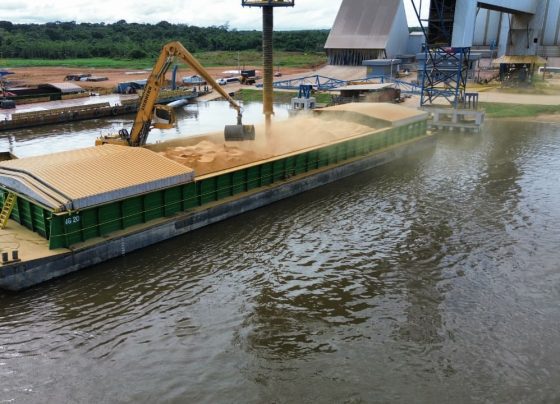 Sinop exporta 45 mil toneladas de DDGS para o mercado da Turquia Foto: Divulgação/Inpasa