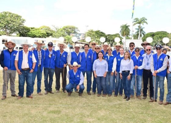 Expozebu 2026 define grandes campeões de 12 raças zebuínas