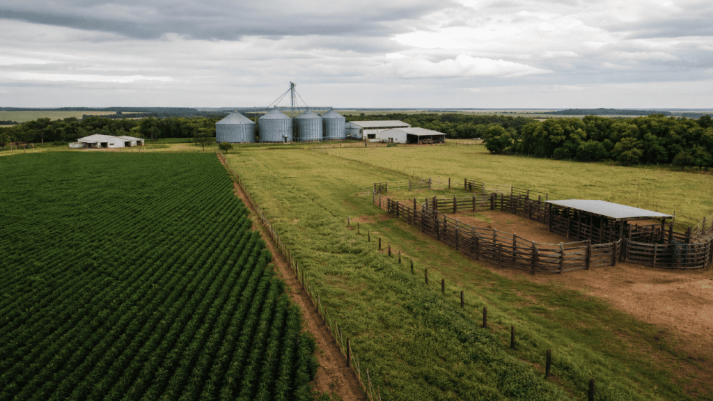 Câmara analisa urgência de projeto sobre normas que afetam produção agropecuária