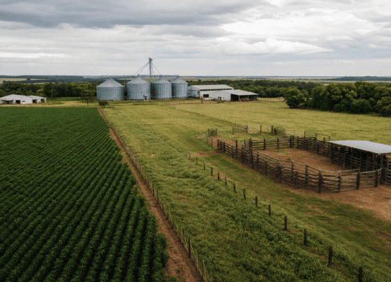 Câmara analisa urgência de projeto sobre normas que afetam produção agropecuária
