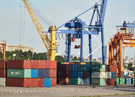 exportação de proteínas animais Brasil