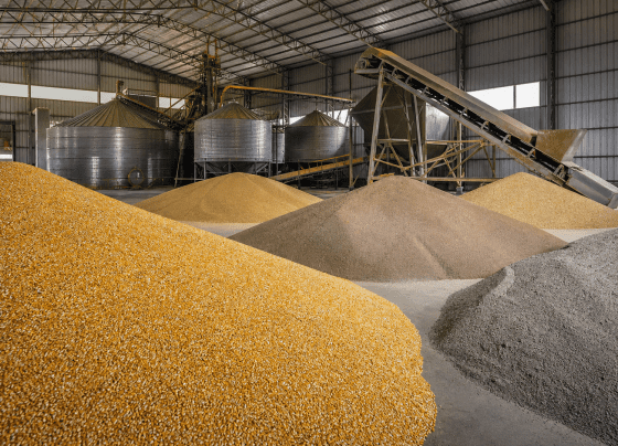 Câmara aprova projeto que amplia itens de ração no Venda em Balcão