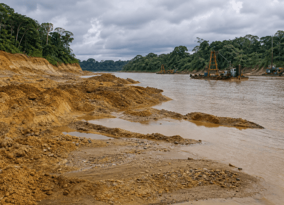Especialistas pedem proibição total do mercúrio na mineração na Amazônia