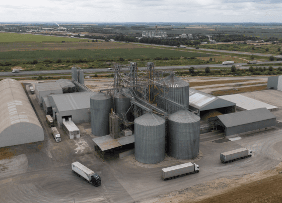 Conab e BNDES firmam acordo para estudos sobre abastecimento alimentar