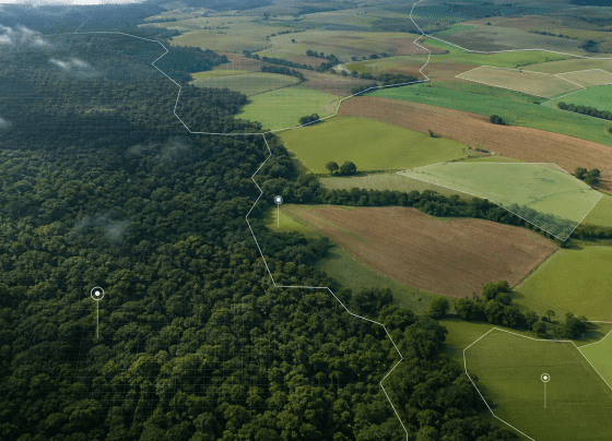 Grupo interministerial vai propor regras para créditos de carbono em áreas federais