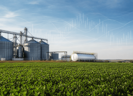 Juros futuros caem com recuo do petróleo e alívio externo