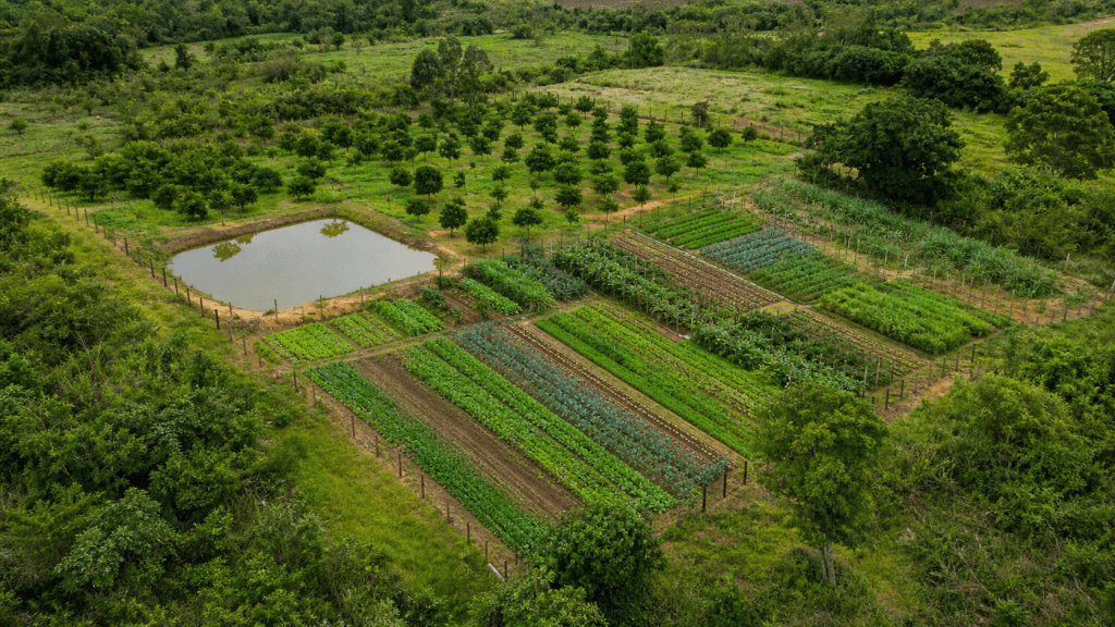 MDA e Fundação Banco do Brasil firmam acordo para ações em territórios tradicionais