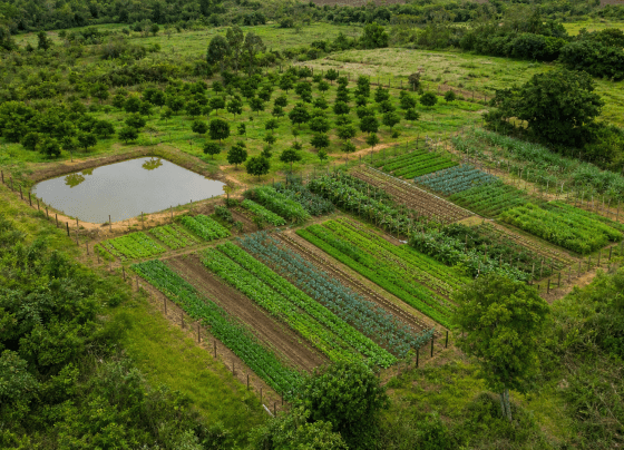 MDA e Fundação Banco do Brasil firmam acordo para ações em territórios tradicionais