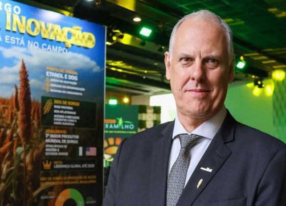 Paulo Bertolini presidente Abramilho foto Assessoria Abramilho