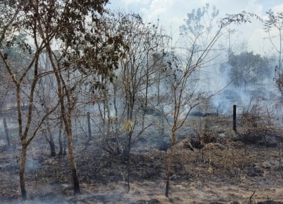 Focos de incêndio no Acre