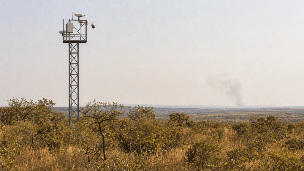 Tecnologias ampliam monitoramento de incêndios no Cerrado