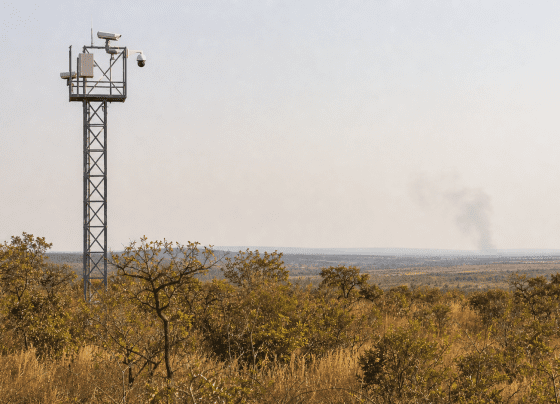 Tecnologias ampliam monitoramento de incêndios no Cerrado
