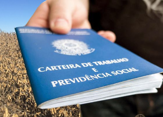 trabalho, agronegócio, brasil, pesquisa, cepea, caged, CNA, agro