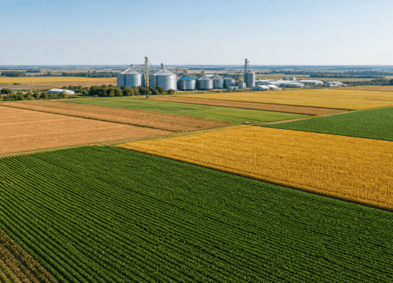 Ajuda federal aos agricultores dos EUA pode superar nível da pandemia em 2026