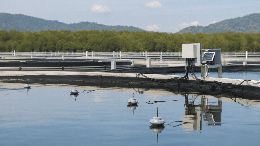 Aqua-On Plus recebe prêmio nacional de inovação na aquicultura
