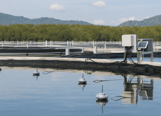 Aqua-On Plus recebe prêmio nacional de inovação na aquicultura