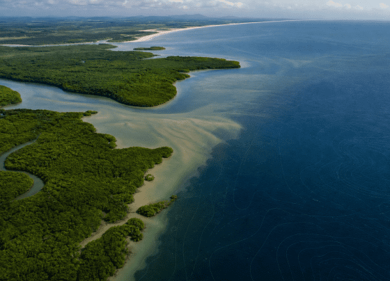 BNDES aprova R$ 13,2 milhões para planejamento marinho da Região Norte