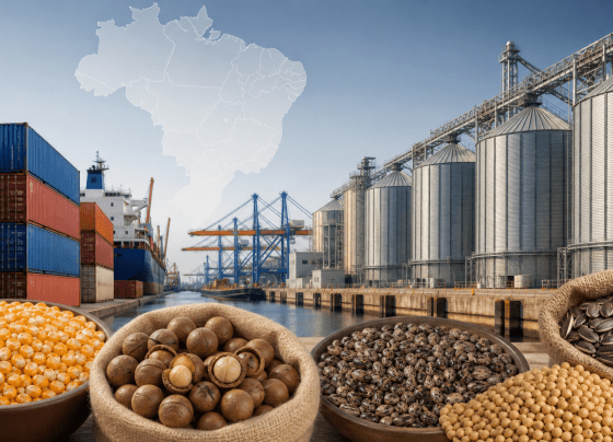 Brasil amplia acesso para produtos agropecuários em 13 parceiros comerciais