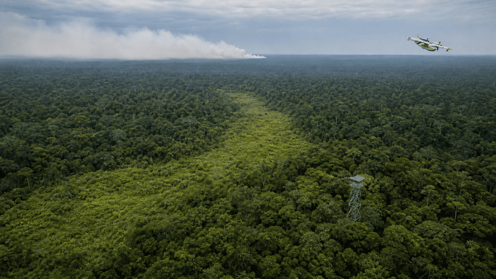 Capobianco cita reforço contra El Niño e redução do desmatamento