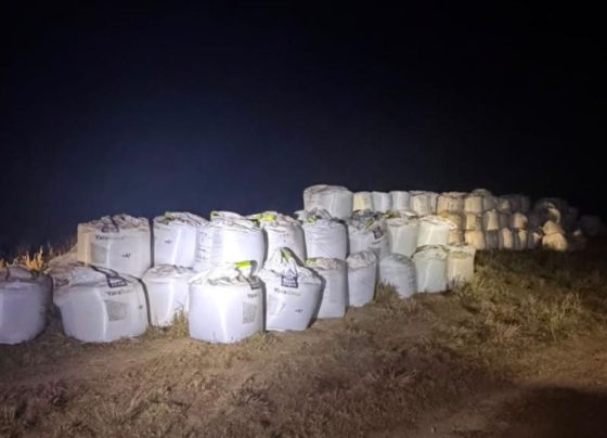 Polícia Civil recupera carga de 273 toneladas de defensivos Foto Polícia Civil de Mato Grosso
