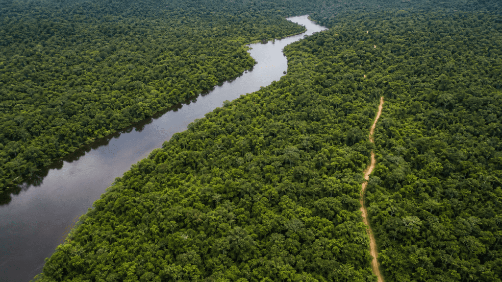 Edital abre concessão florestal de 267 mil hectares na Flona de Balata-Tufari