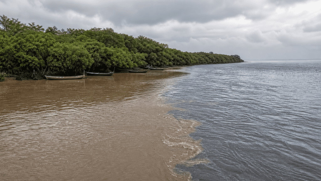 Impactos da Barragem de Fundão no sul da Bahia serão debatidos na Câmara