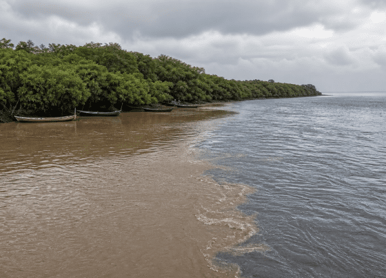 Impactos da Barragem de Fundão no sul da Bahia serão debatidos na Câmara