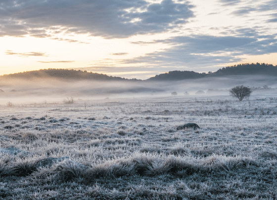 Inmet prevê frio intenso no Sudeste e geada em áreas do Sul
