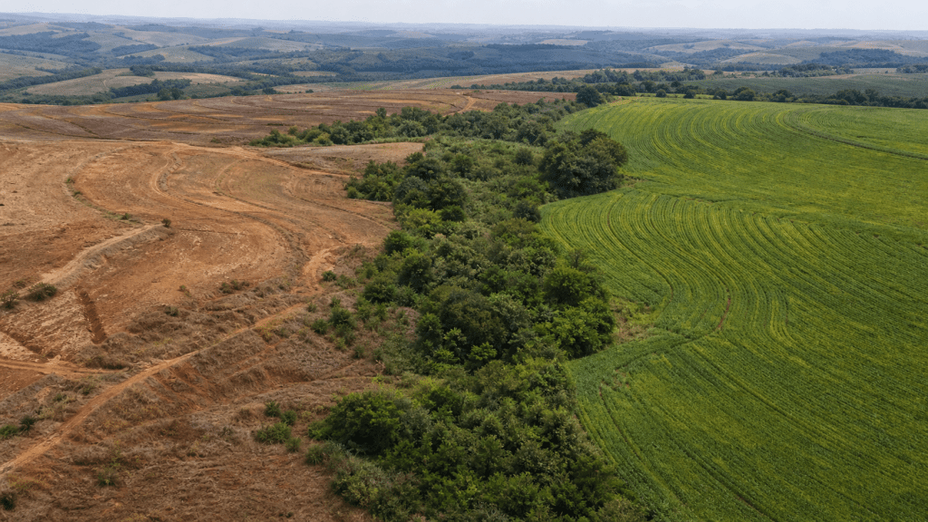 Lideranças defendem integração entre clima, biodiversidade e solo no Rio